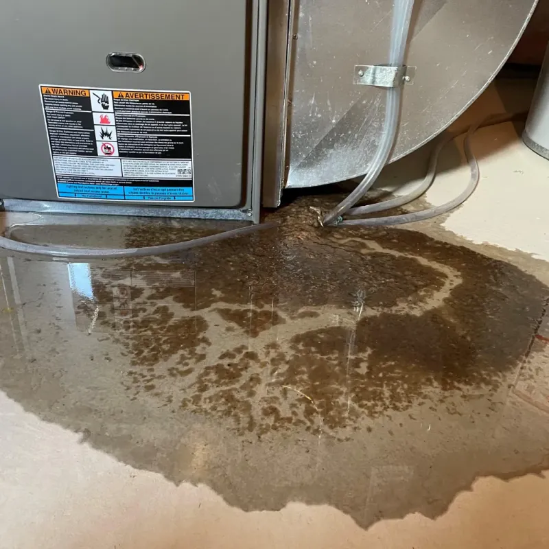 Appliance Leak Cleanup in Columbia, MO