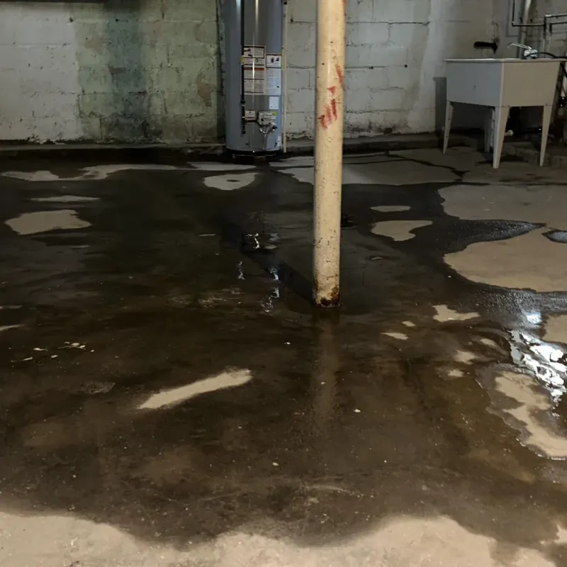 Emergency Water Extraction And Removal in Columbia, MO